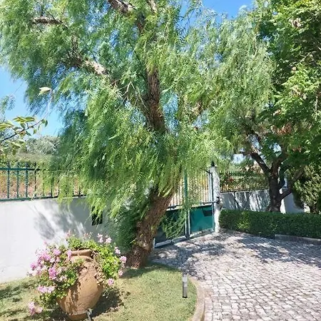 Casa Do Alto