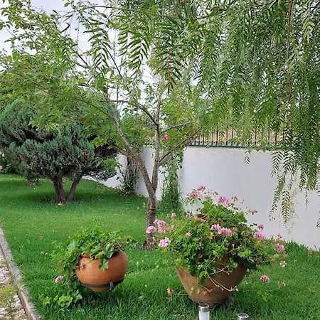 Casa Do Alto * 토마르